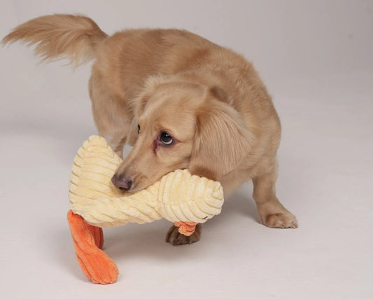 Help… How can I help my dog settle down?