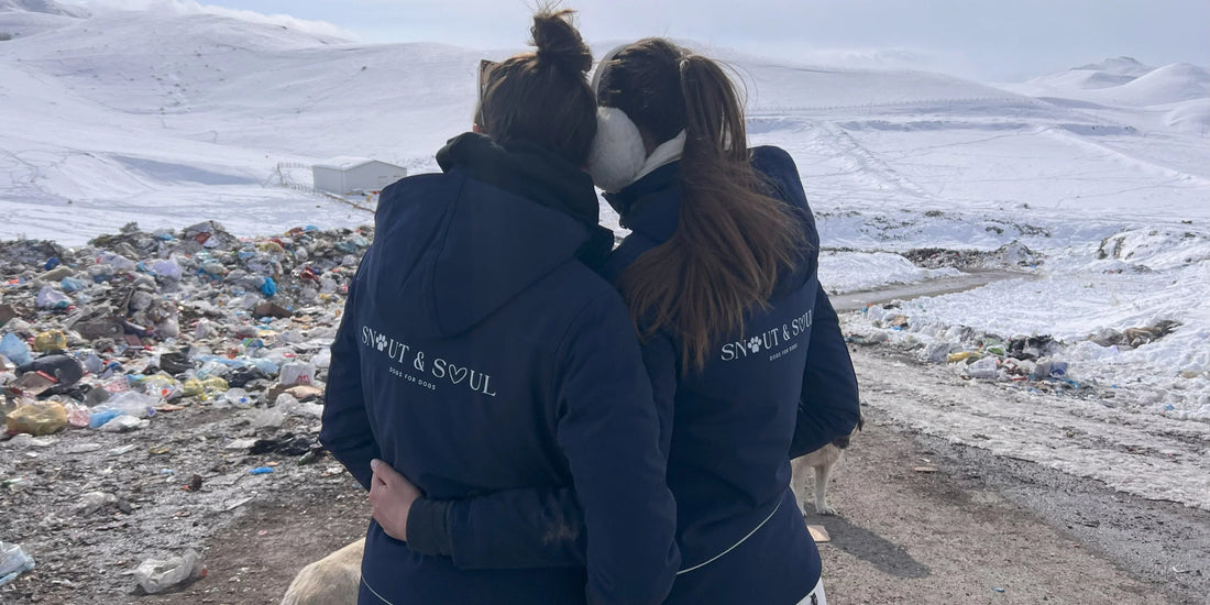 Snout & Soul in Turkey: An Eye-Opener to Animal Suffering