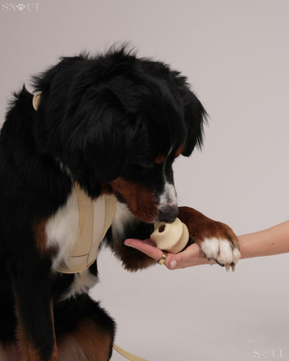 Twisty Ball Spielzeug