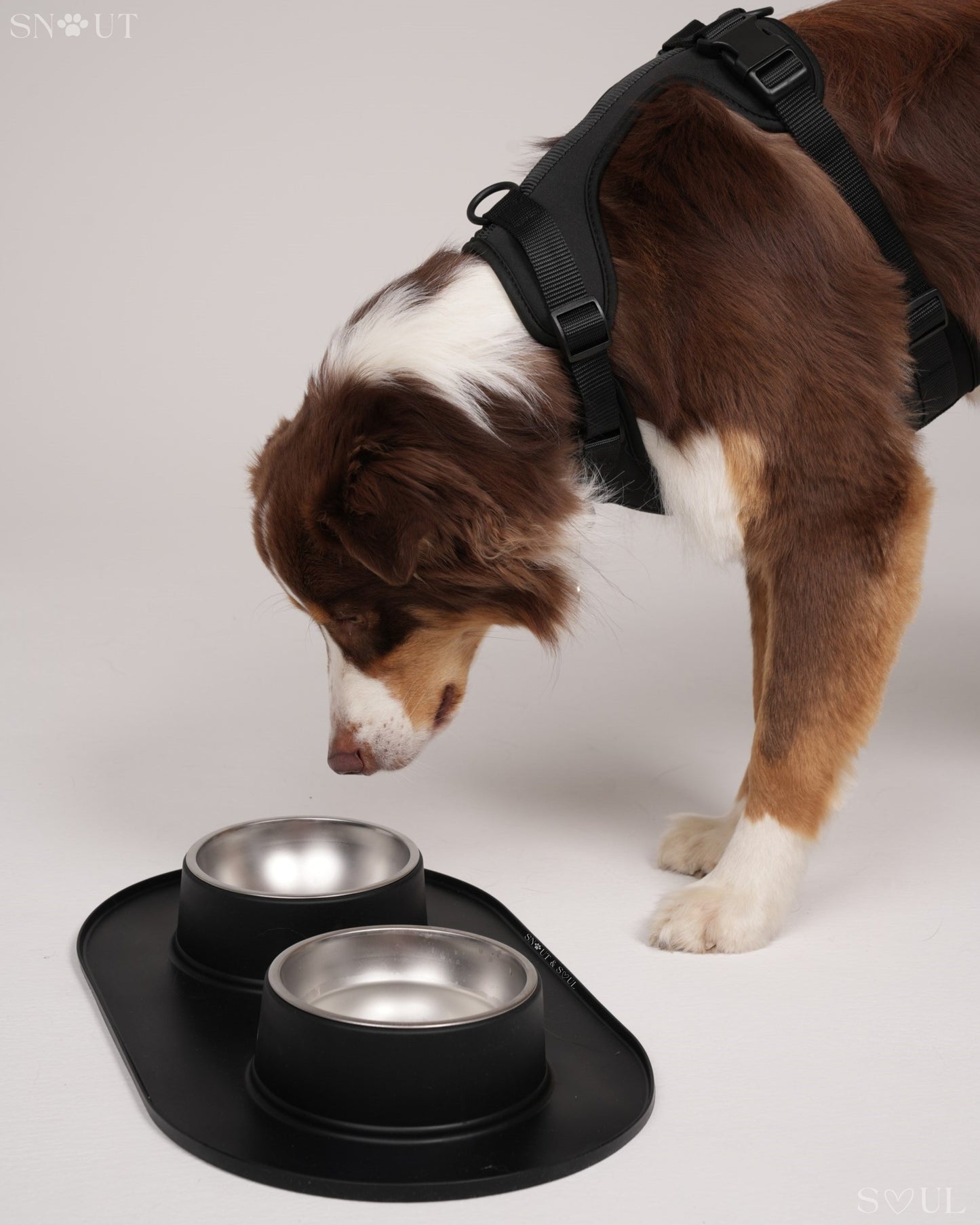 Anti Schmutz Duo-Futternapf