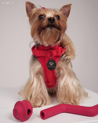 Geschirr Walk & Play Set