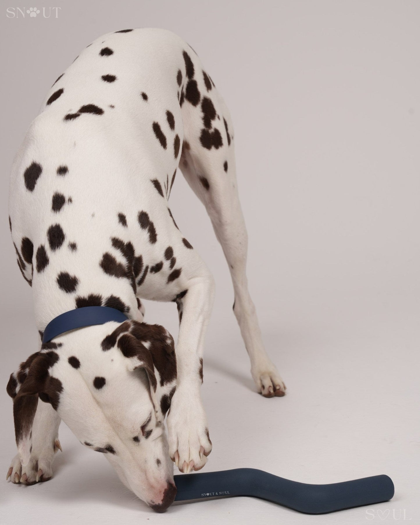 Geschirr Walk & Play Set