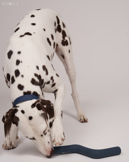 Geschirr Walk & Play Set