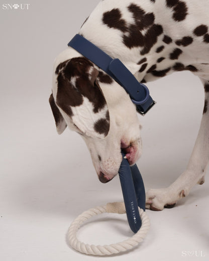 Triangle Tug Spielzeug