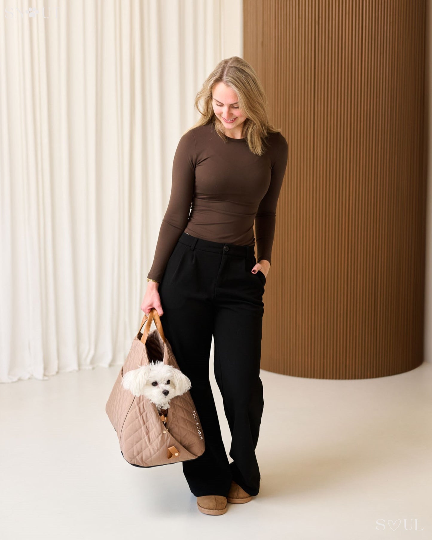 2-in-1 Hundetragetasche für kleine Hunde