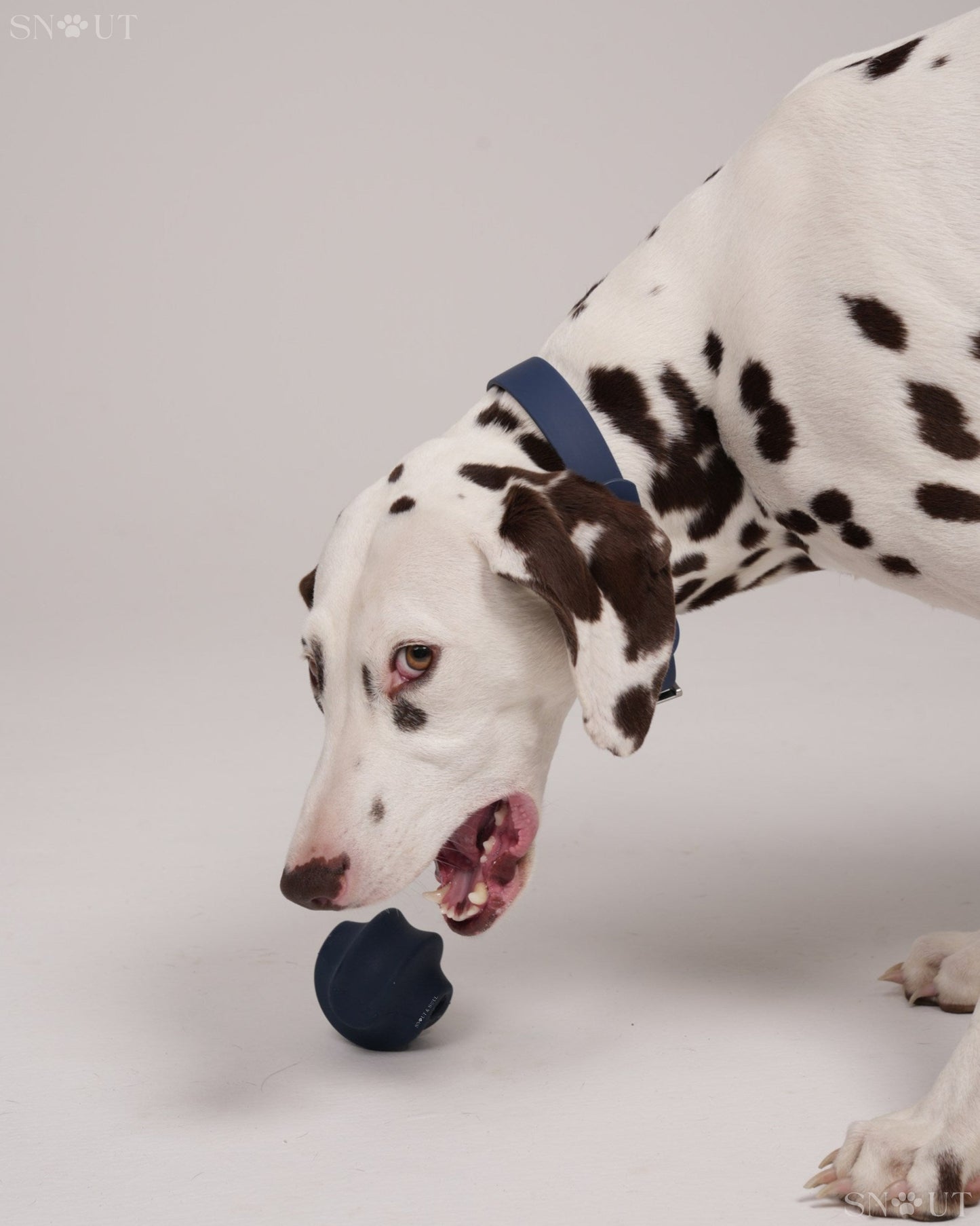 Geschirr Walk & Play Set