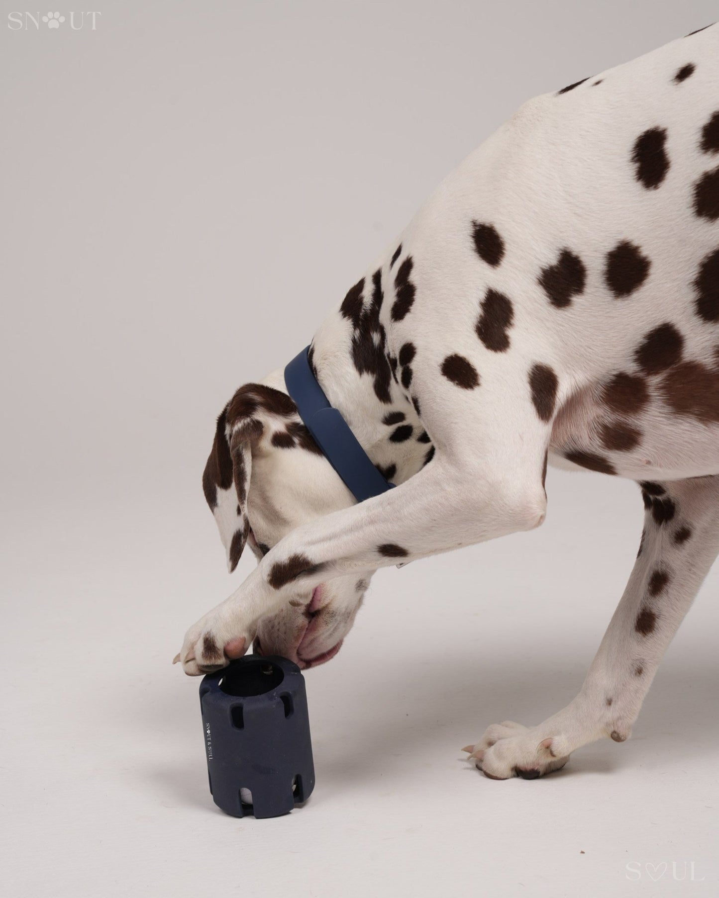 Tennis Wobble Spielzeug