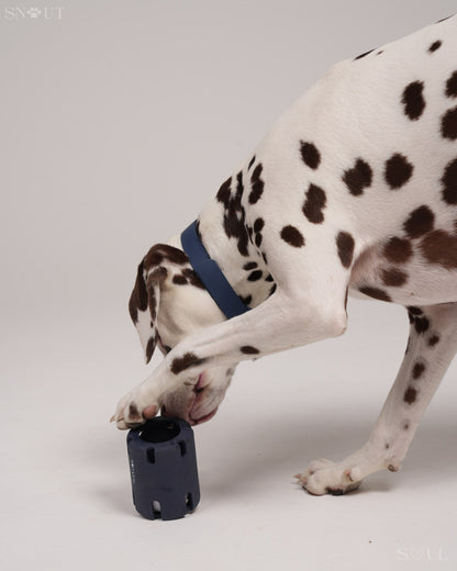 Tennis Wobble Spielzeug