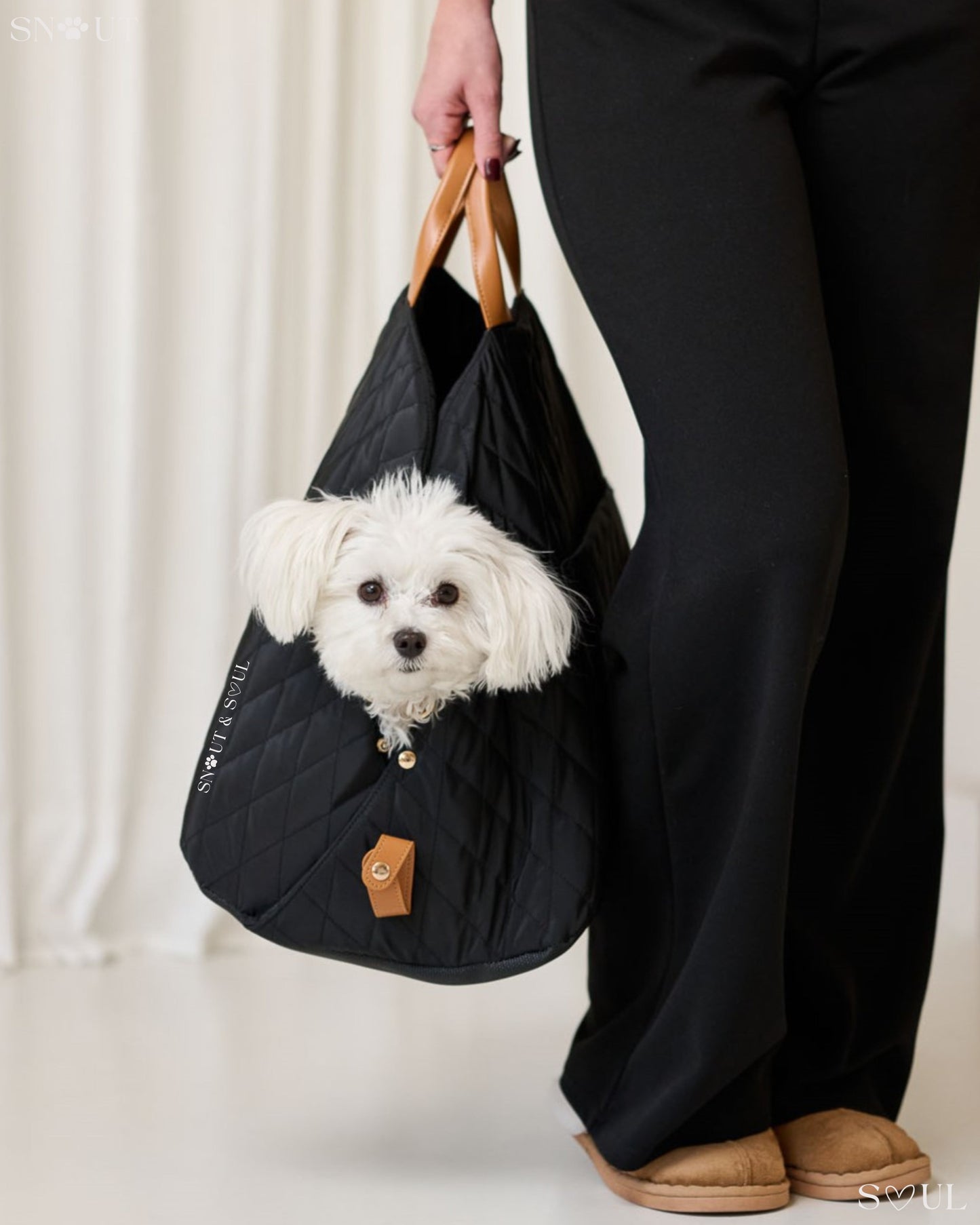 2-in-1 Hundetragetasche für kleine Hunde