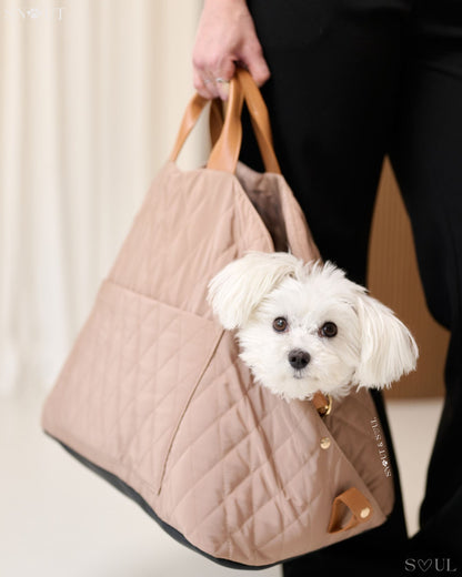 2-in-1 Hundetragetasche für kleine Hunde