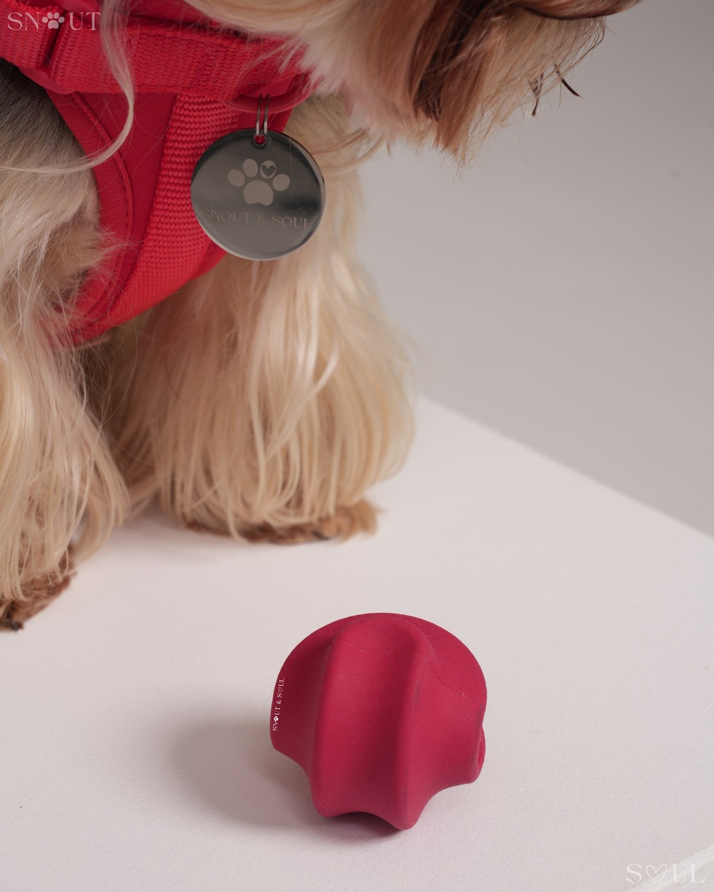 Twisty Ball Spielzeug