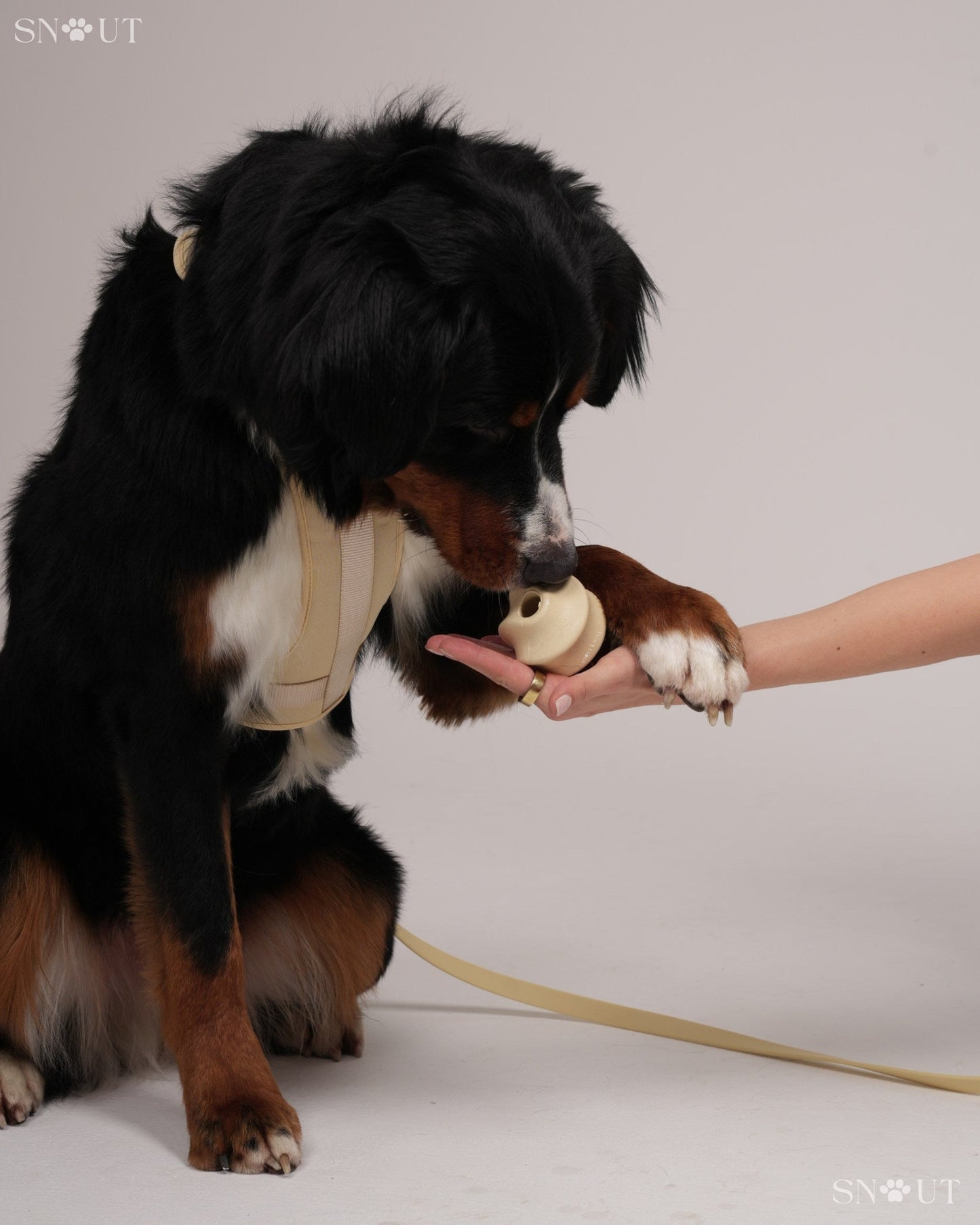 Geschirr Walk & Play Set