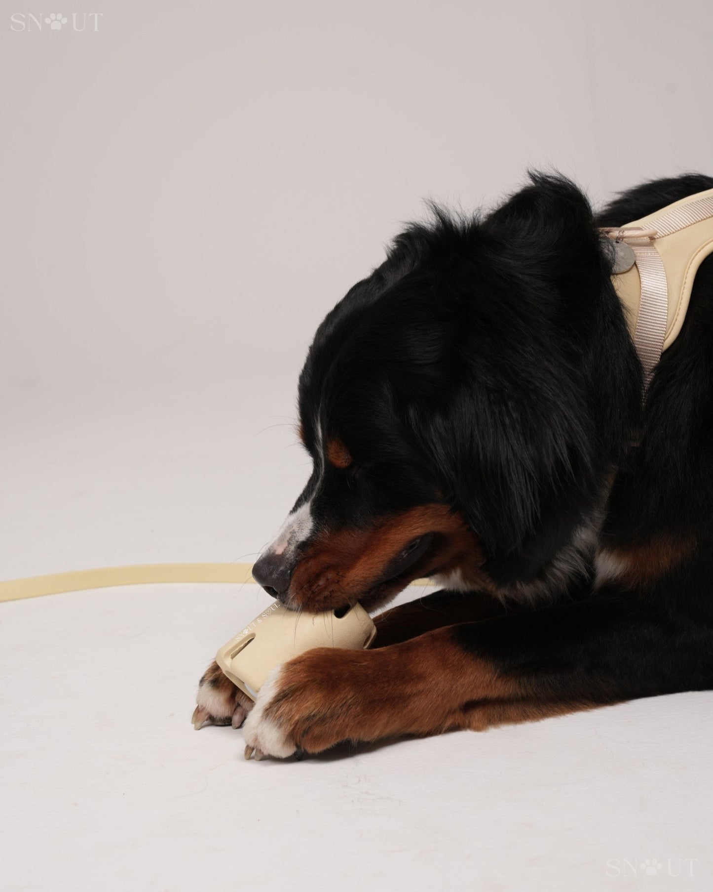 Geschirr Walk & Play Set