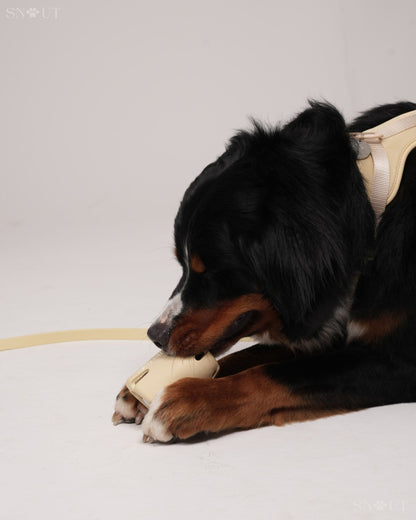 Geschirr Walk & Play Set