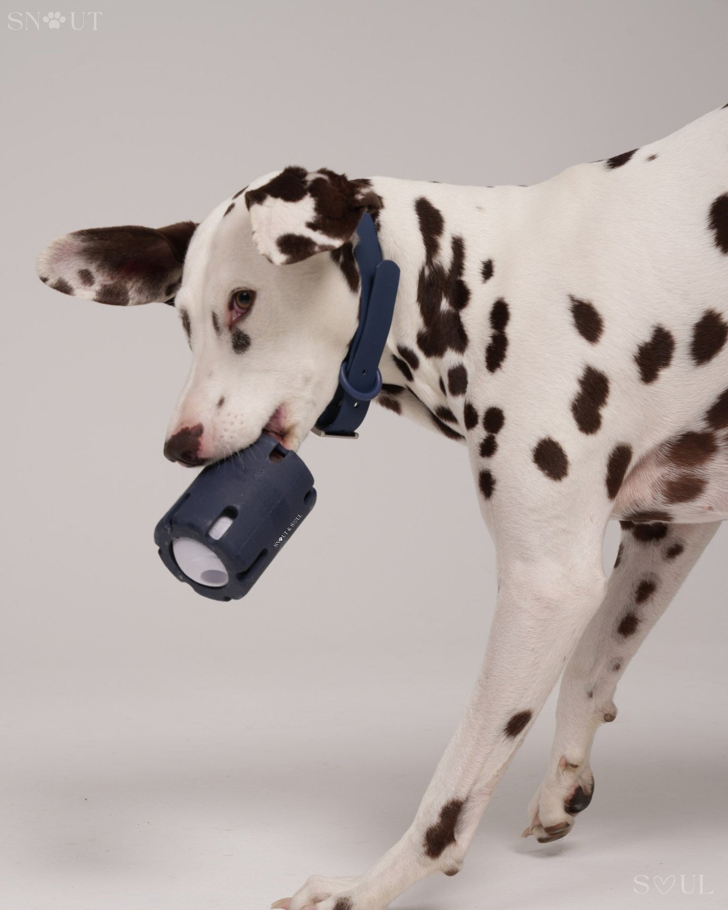 Tennis Wobble Spielzeug