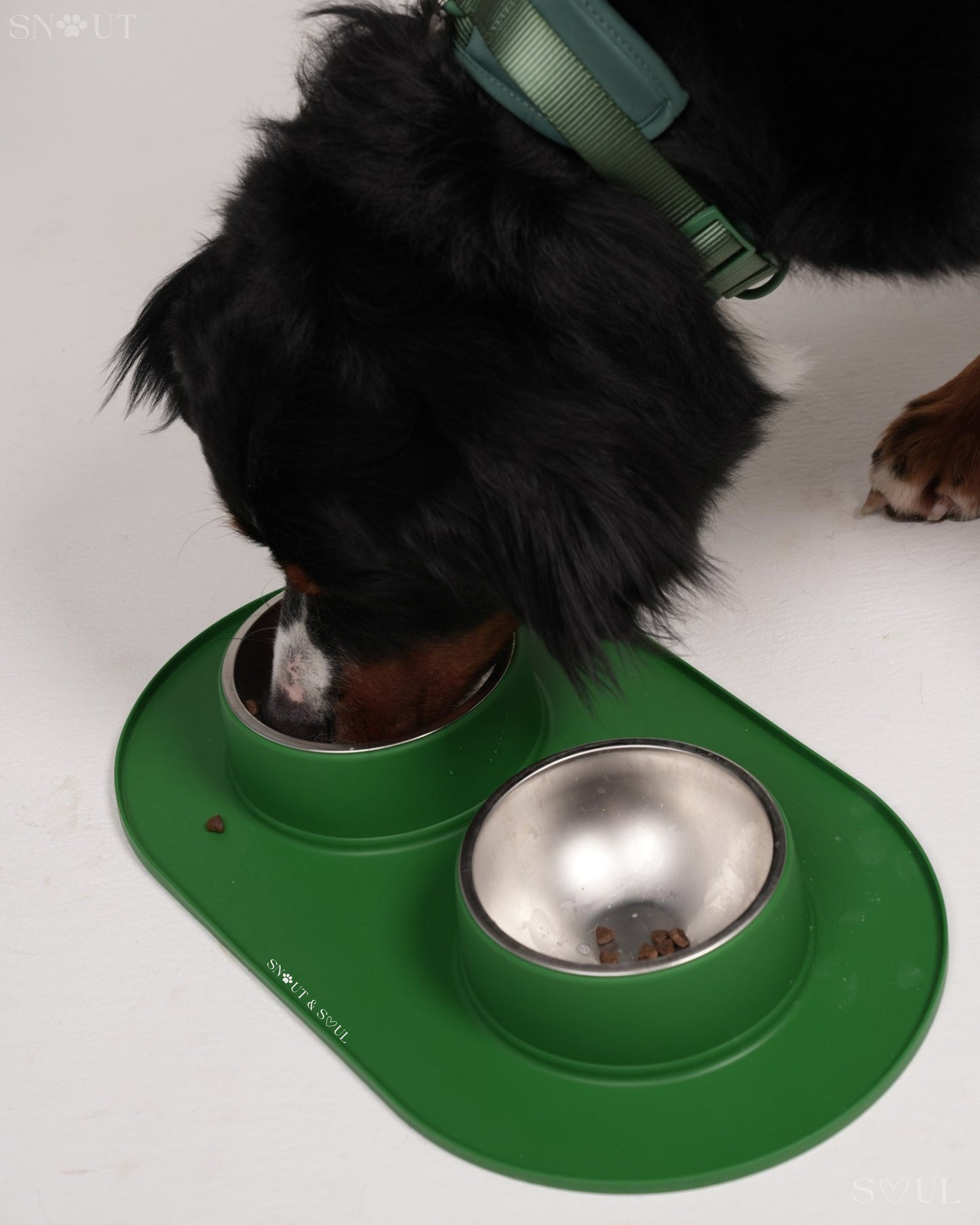 Anti Schmutz Duo-Futternapf