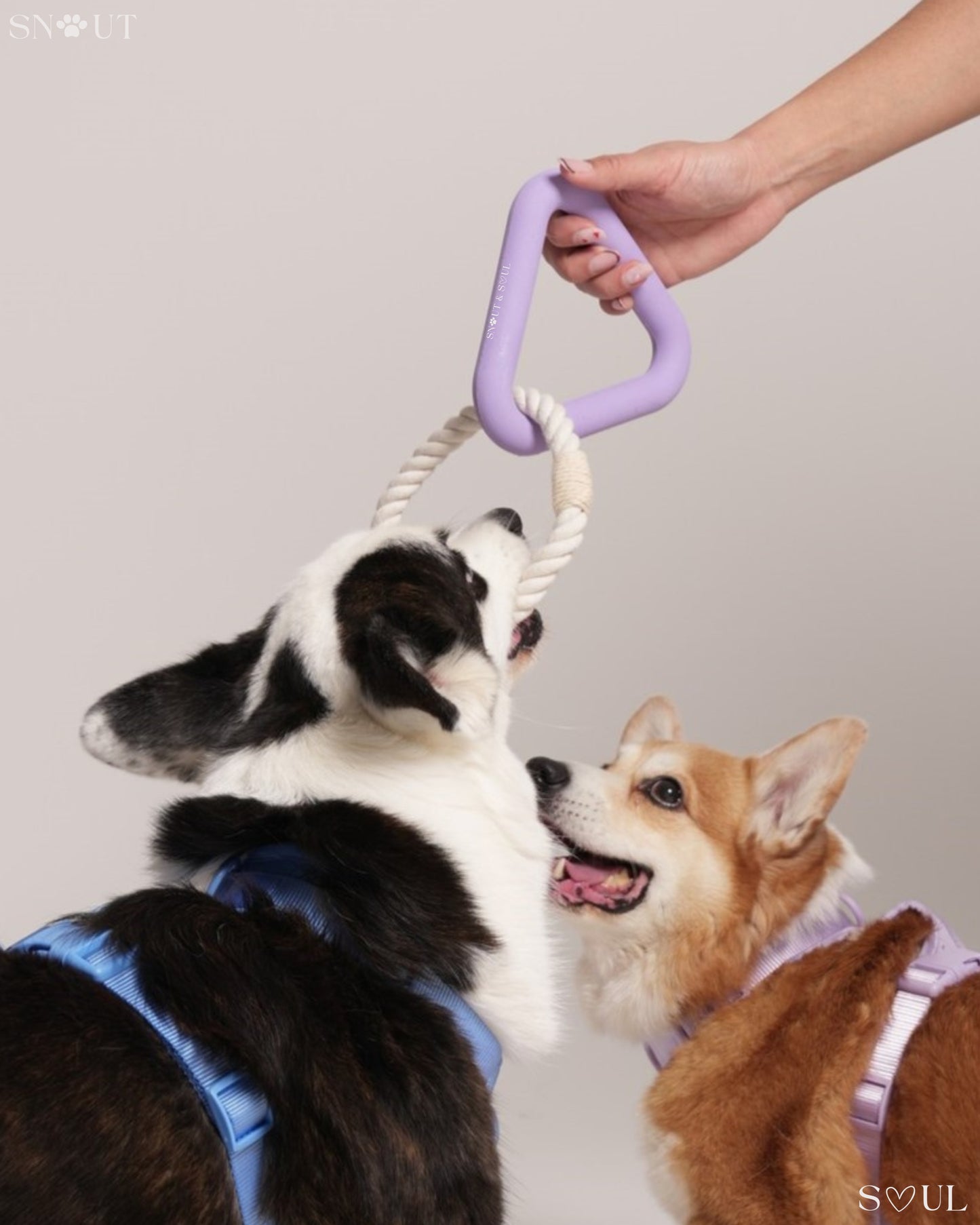 Triangle Tug Spielzeug