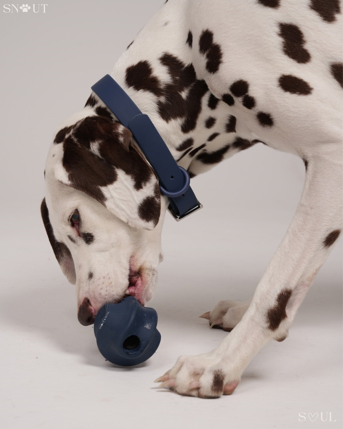 Twisty Ball Spielzeug