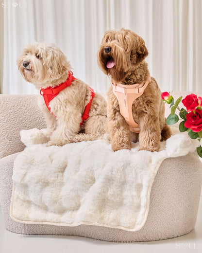 Weiche Luxus-Sofadecke