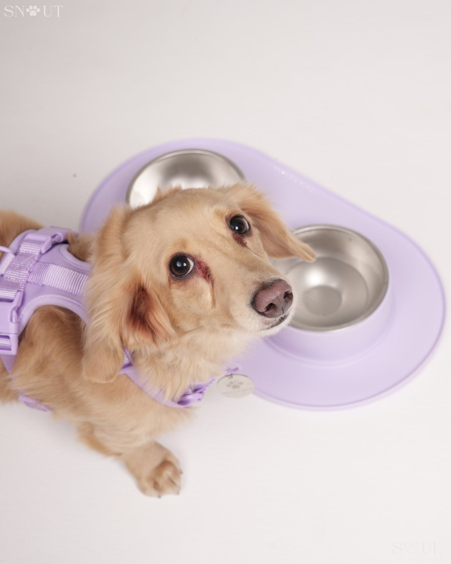 Anti Schmutz Duo-Futternapf