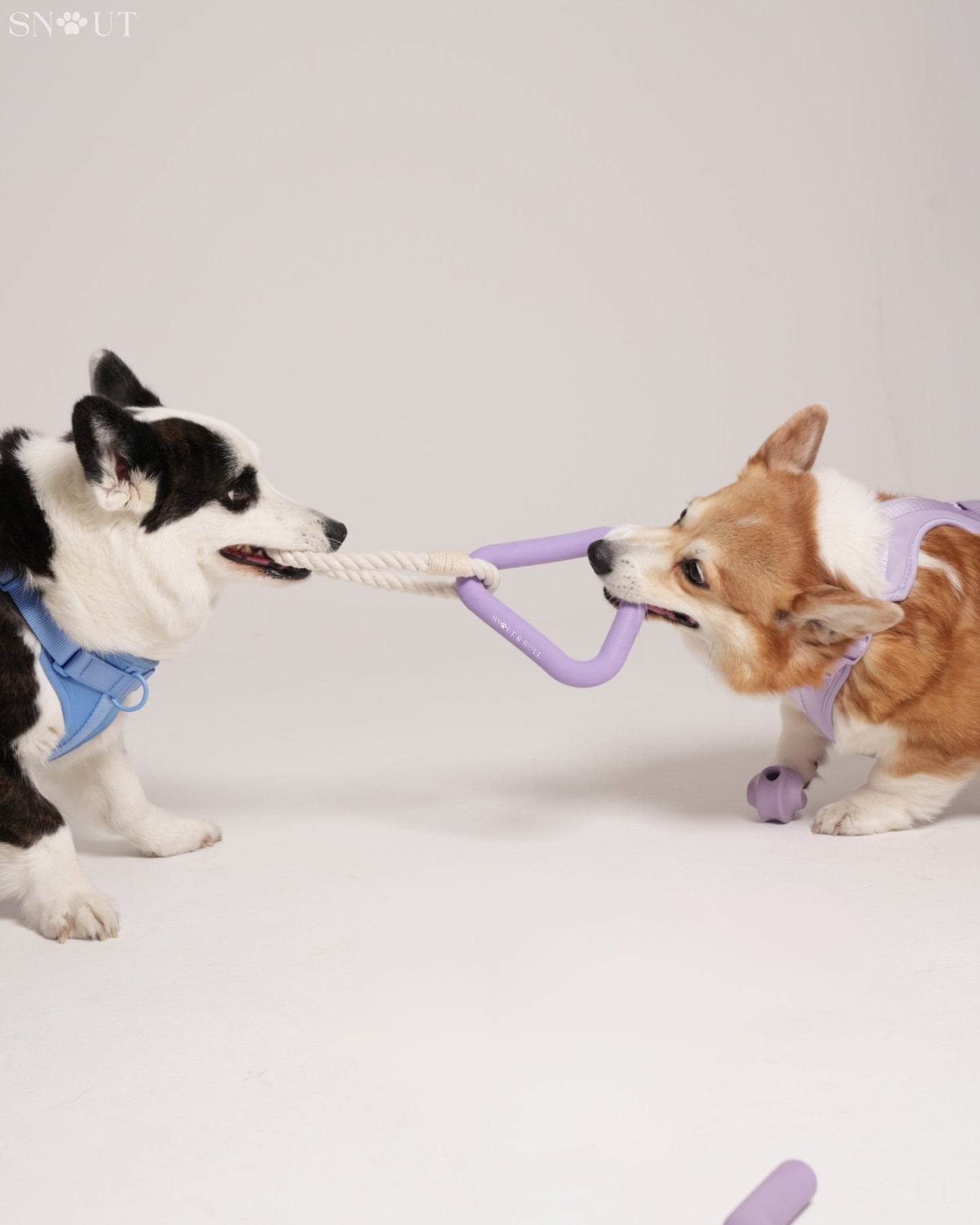 Triangle Tug Spielzeug