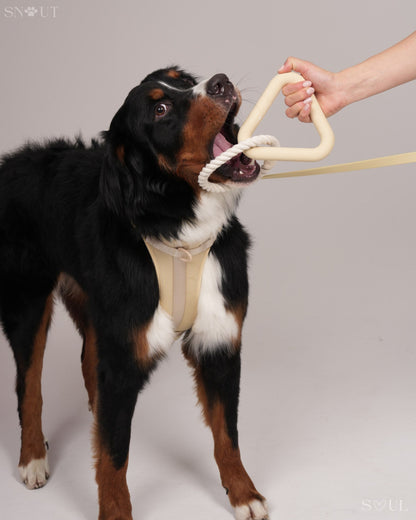 Triangle Tug Spielzeug