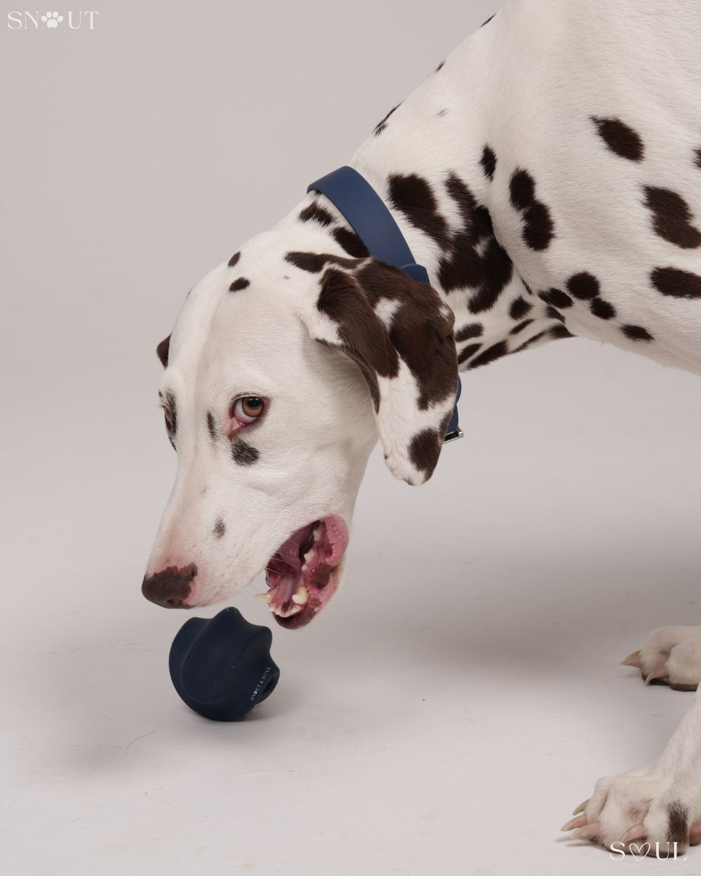 Twisty Ball Spielzeug