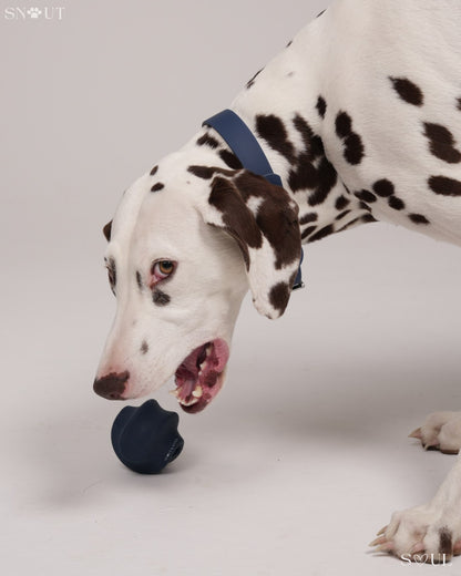 Twisty Ball Spielzeug