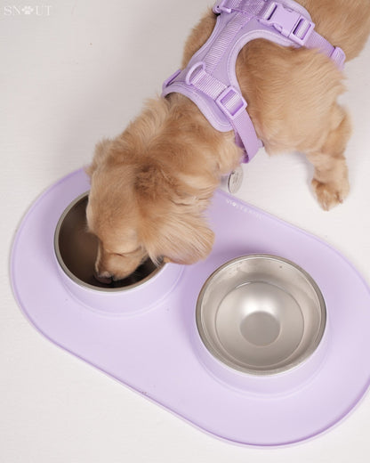 Anti Schmutz Duo-Futternapf