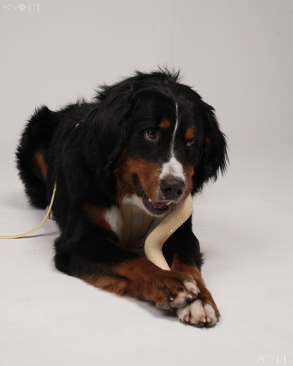 Zigzag Tube Spielzug