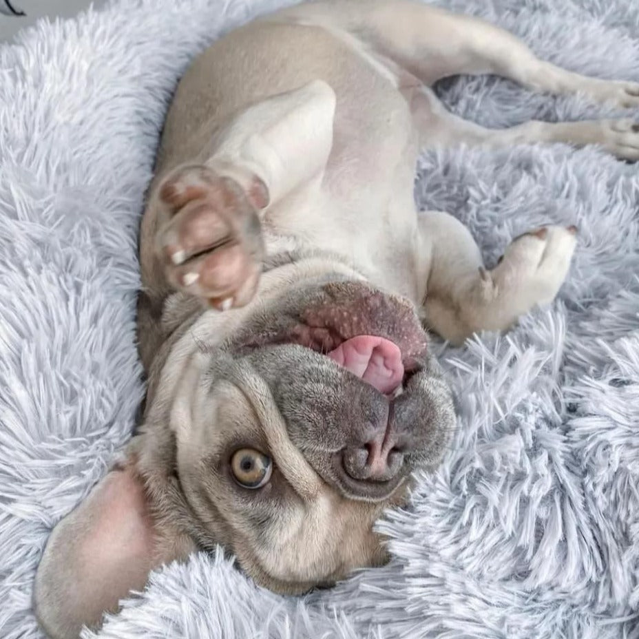 Beruhigendes flauschiges rundes Hundebett