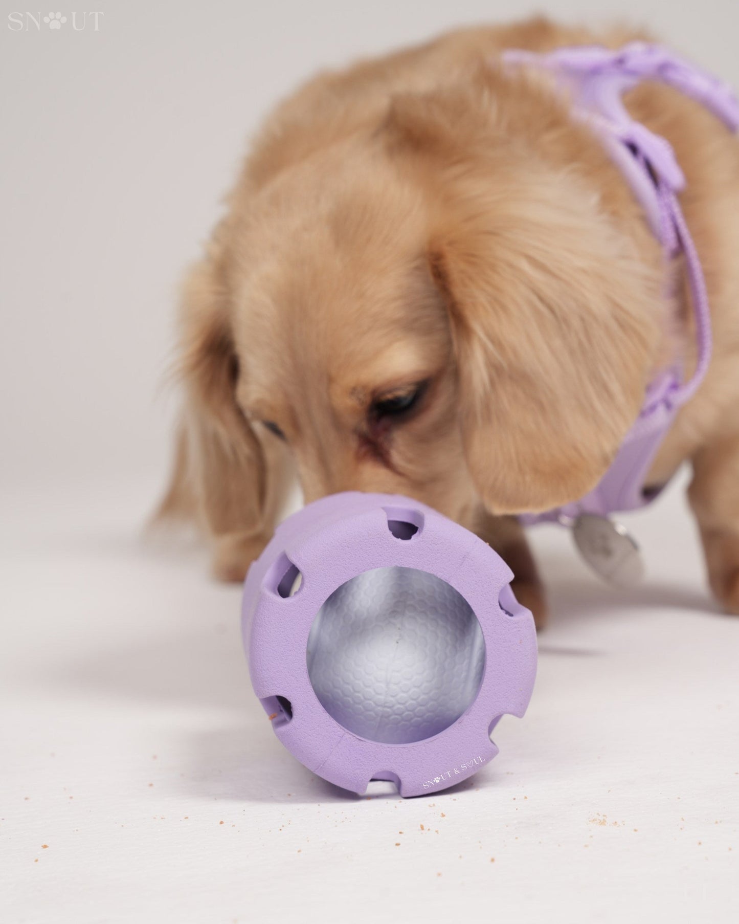 Tennis Wobble Spielzeug