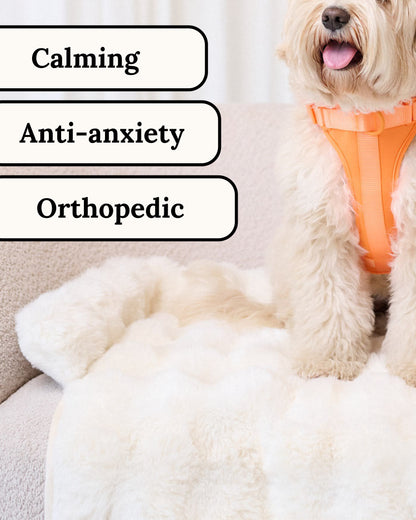 Weiche Luxus-Sofadecke