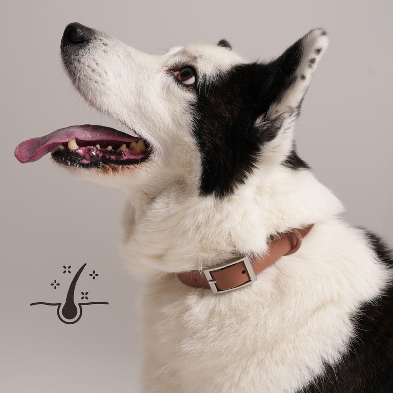 multicolumns-item-image-4