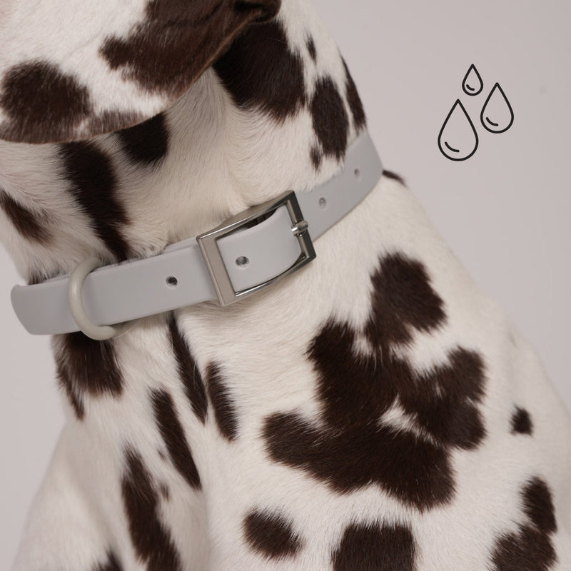 multicolumns-item-image-3