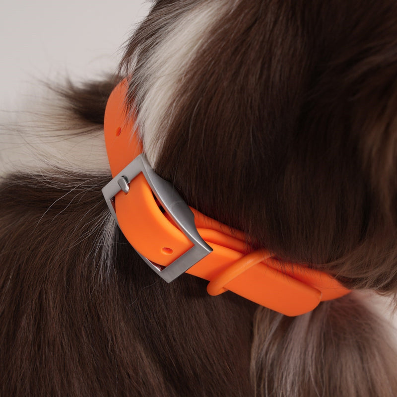 multicolumns-item-image-1