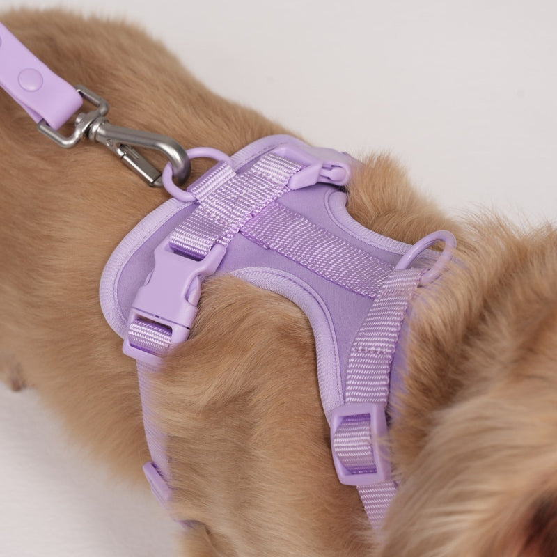 multicolumns-item-image-1