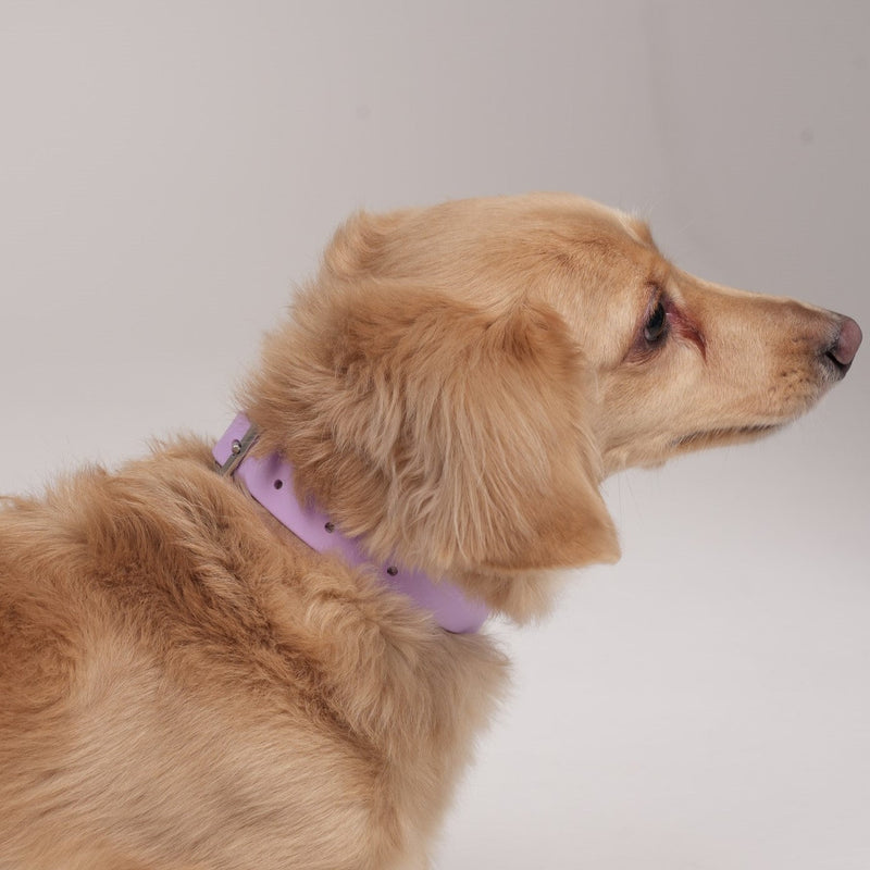 multicolumns-item-image-2