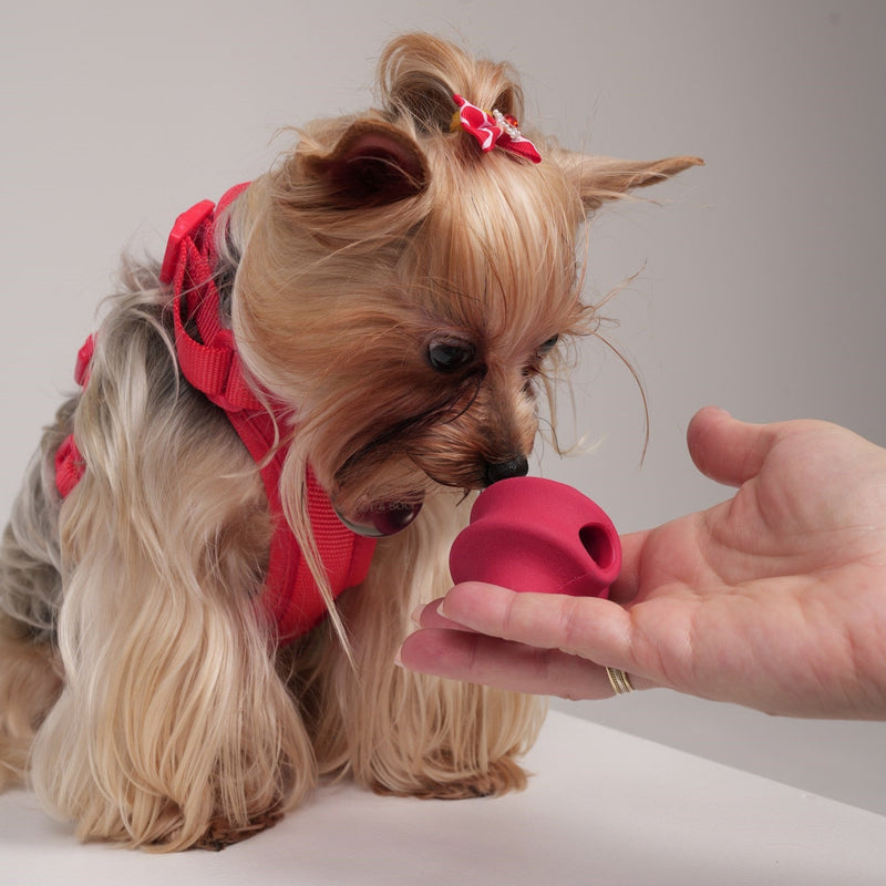 multicolumns-item-image-4