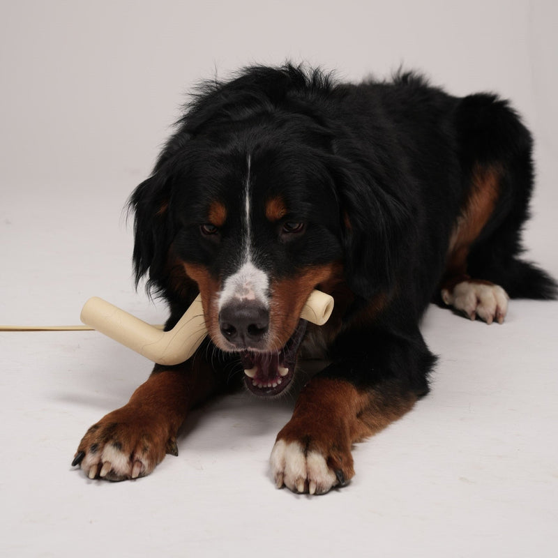 multicolumns-item-image-2