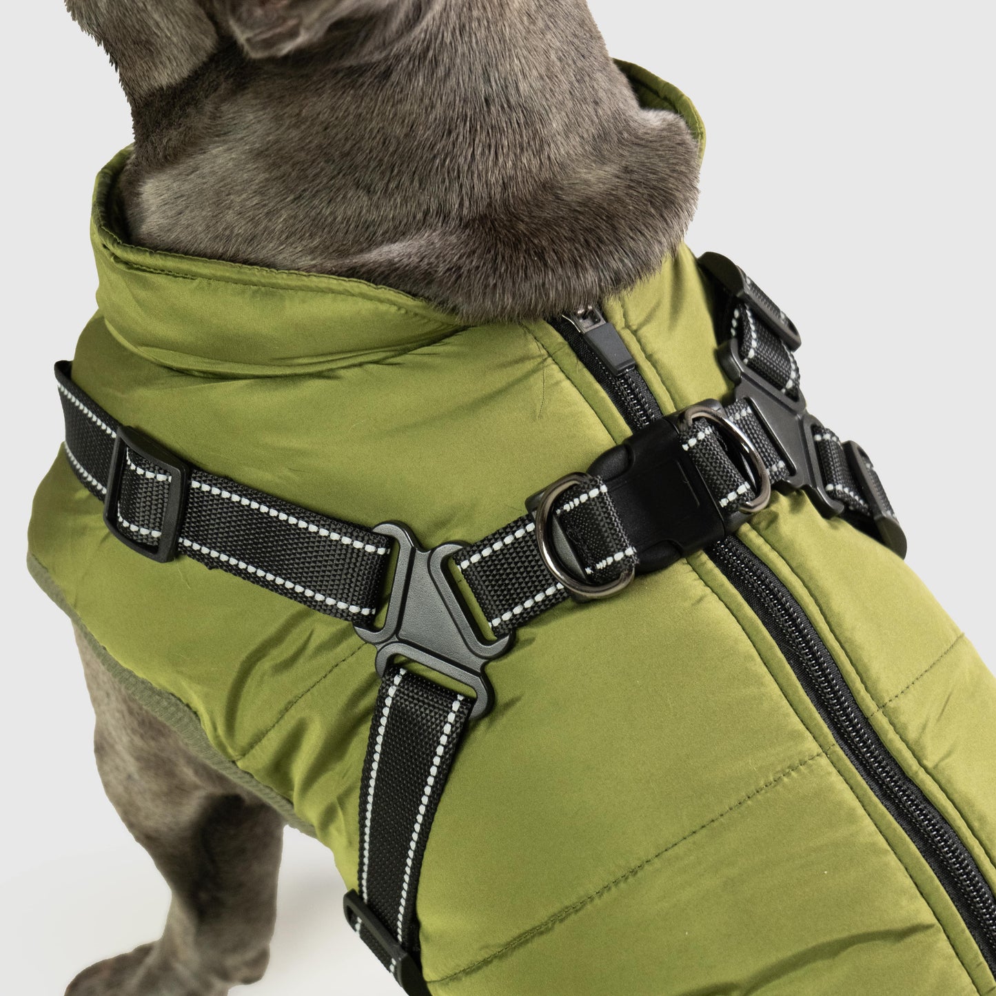 Water resistant Winter Jacket for Dogs
