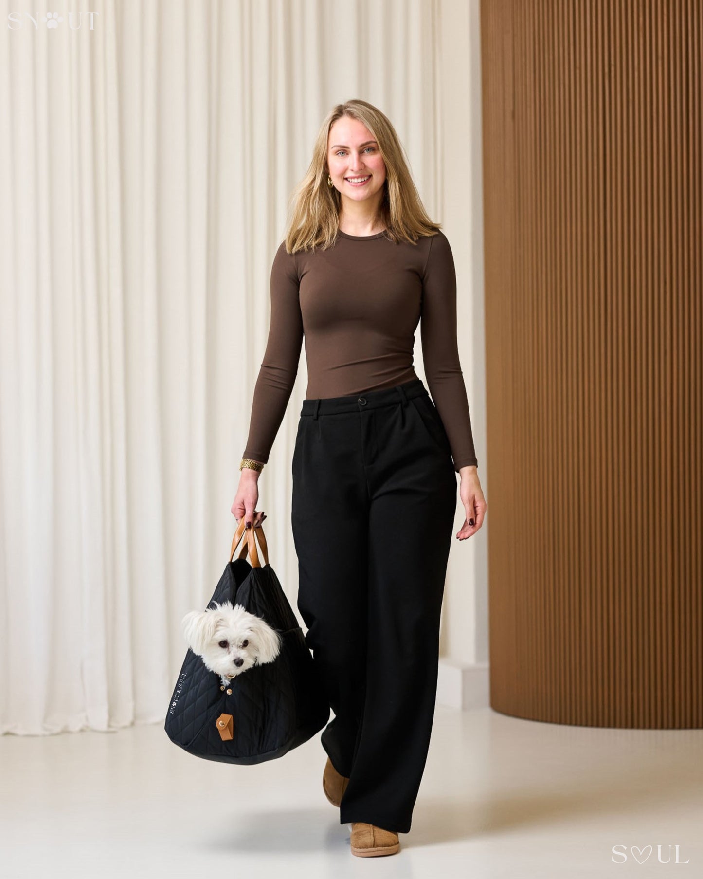 2-in-1 Hundetragetasche für kleine Hunde