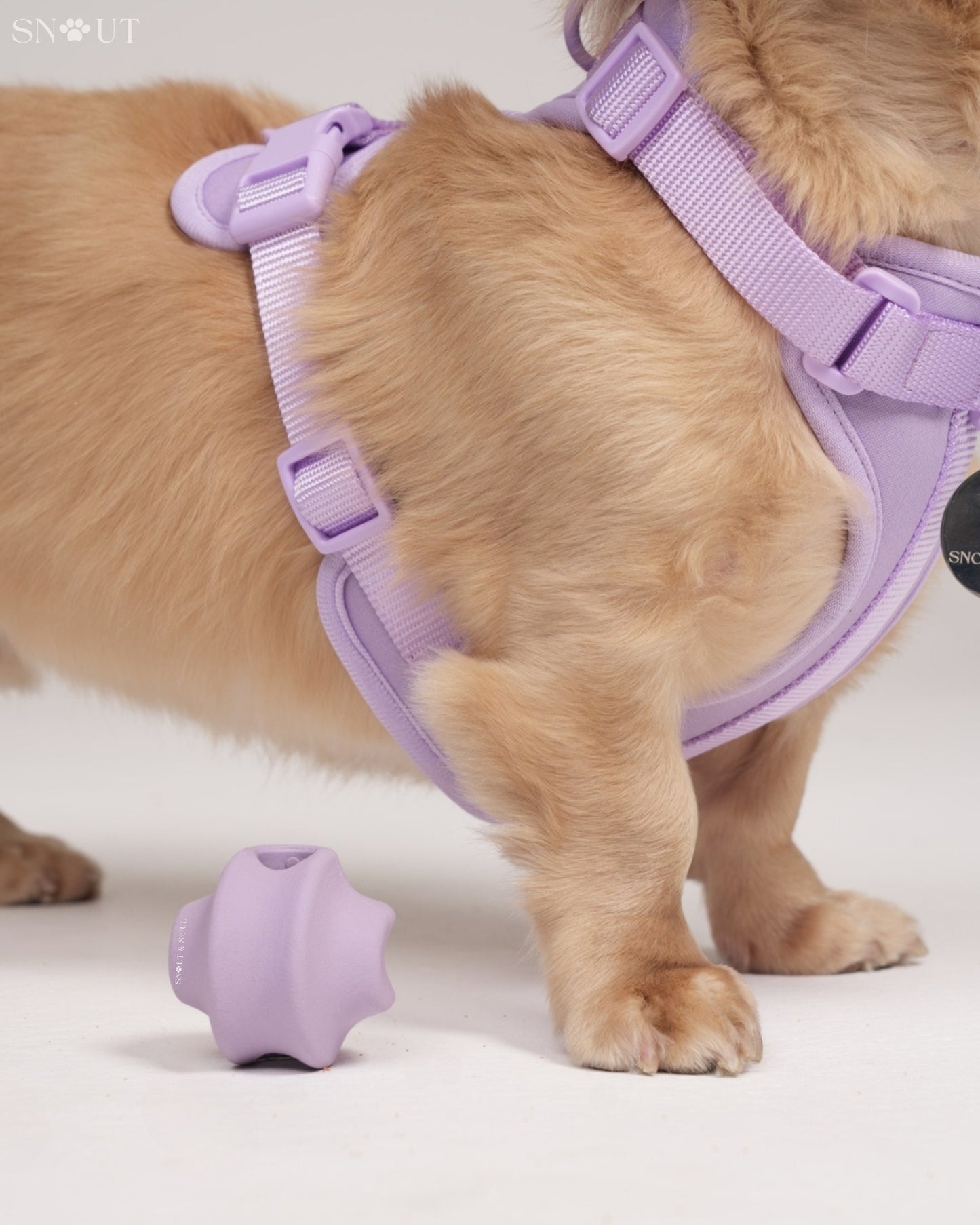 Twisty Ball Spielzeug