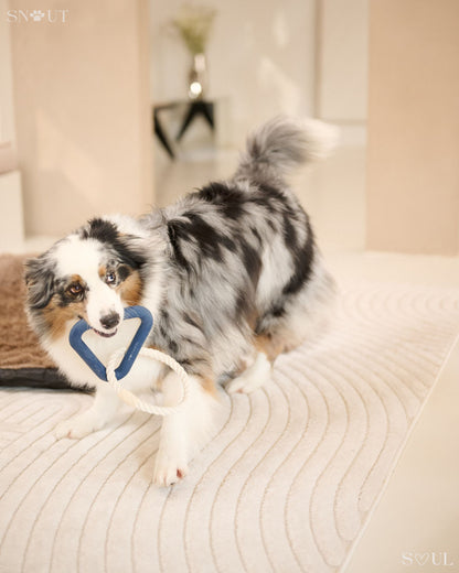 Triangle Tug Spielzeug