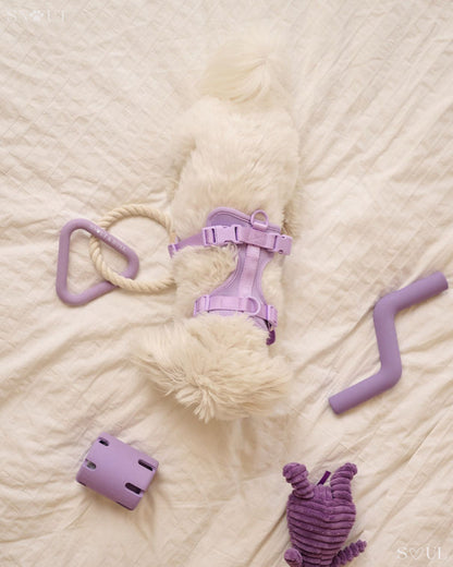 Geschirr Walk & Play Set