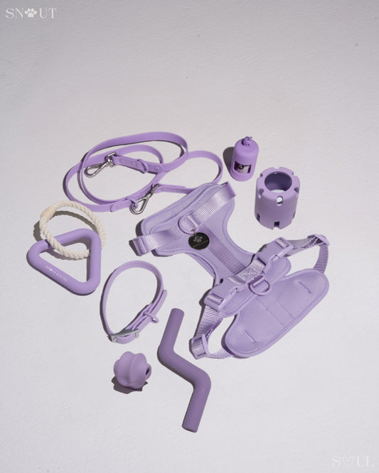 Geschirr Walk & Play Set