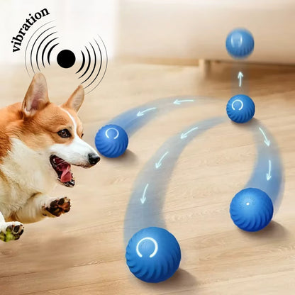 Snout Interaktiver Hundeball