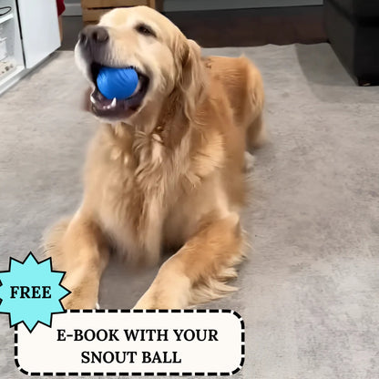 Snout Interaktiver Hundeball