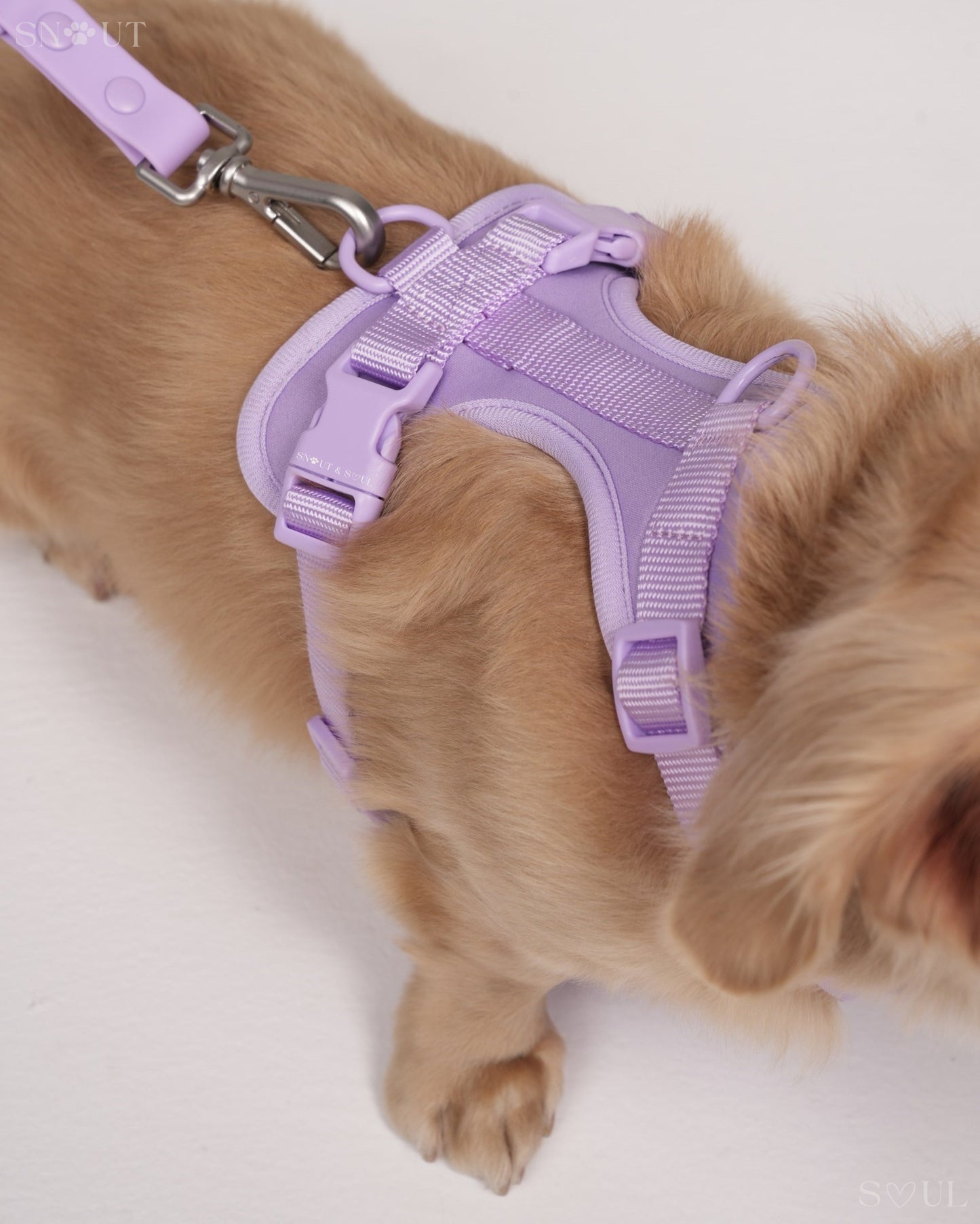 Geschirr Walk & Play Set