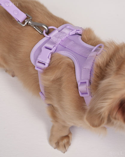 Geschirr Walk & Play Set